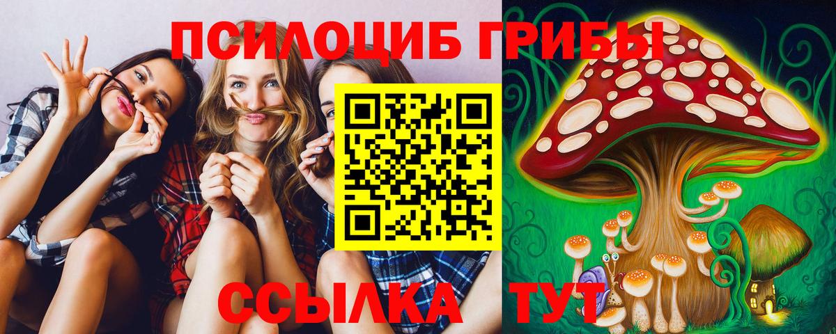 Галлюциногенные грибы Magic Shrooms Холмск